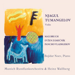 12 Etudes for violin on technical problems in performing contemporary music: IV.