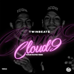 Twinbeats - Cloud9 (T - Drum`s Rooted Instrumental Mix)