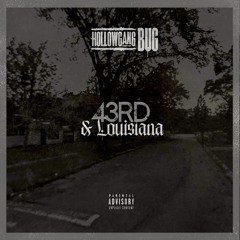 HollowGang Bug - 43rd & Louisiana