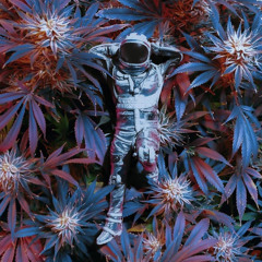 Right Now 2022 🔥🪂🪐🍻