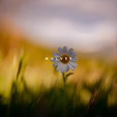 Midsummer