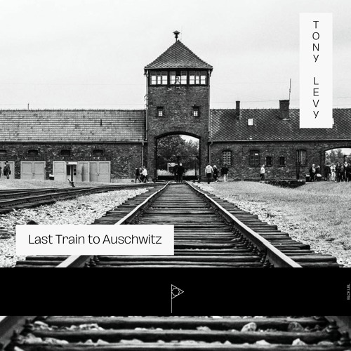 Last Train To Auschwitz (Original Mix)