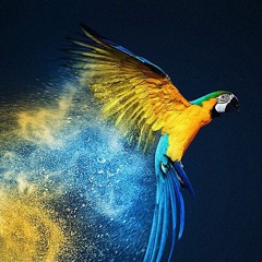 Area Return (GlobalPsyBass Prog Downtempo) or Not... & More)