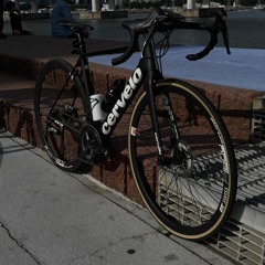 아로하 조정석 speed up