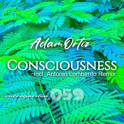 Adam Ortiz - HER (Original Mix) snippet
