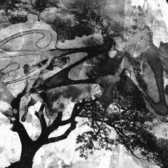 xtsy* - eternal youth (bl4cko + whoa.aloa)