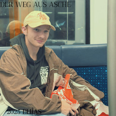 Der Weg aus Asche