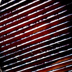 TRANcE Experiment