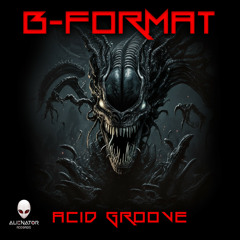 B-Format - Acid Groove (Original Mix)