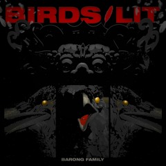 Lefris & Fridus & Sam King - BIRDS (feat. Ecuazolano)