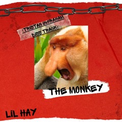 The Monkey (Tristan Ingraham Diss Track)