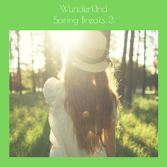 Wunderk1nd - Spring Breaks 3