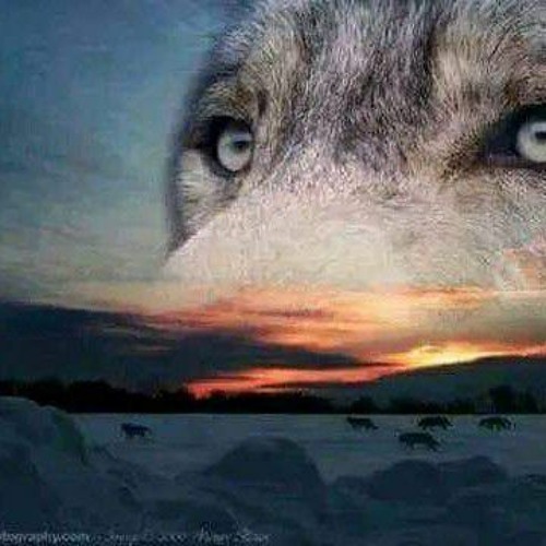 كليب في حضن عنيك نسيت اسمي - نور الريس - توزيع اسلام فتحي Official Music Video.mp3