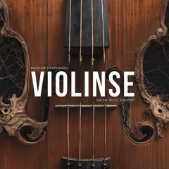 Violinse - Sautillé Insanity - Gary Gibbons