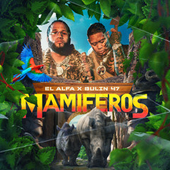 El Alfa ft Bulin 47 - Mamiferos - DJGabrielEdit (Intro+Outro 130BPM)