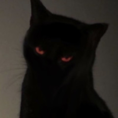without u (spooky black cover)