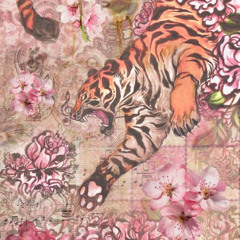 fluffy like a bunny ₍ᐢ. .ᐢ₎