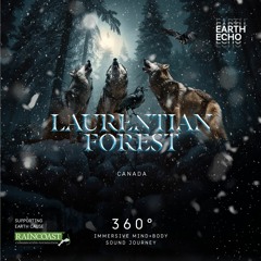 Laurentian Forest, Canada - [360° HEADSET EXPERIENCE]