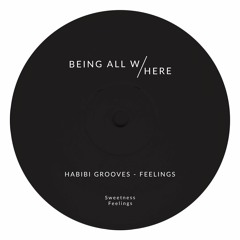 HSM PREMIERE | Habibi Grooves - Sweetness [Being All Here Records]