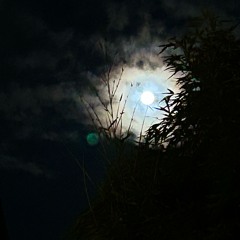 Ordinary Intervals  after a storm.