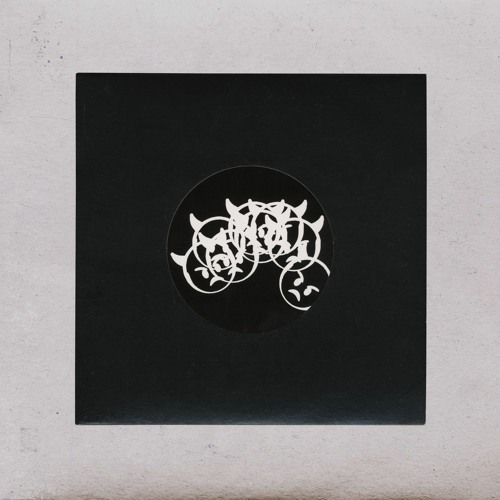 SPIRAL INSTINCT - Unter