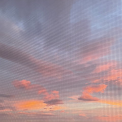 Humid