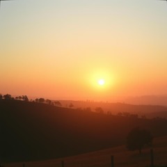 I will always love you remix