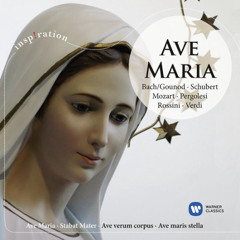I love the Virgin Mary Electro House Music
