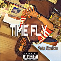 TIME FLY