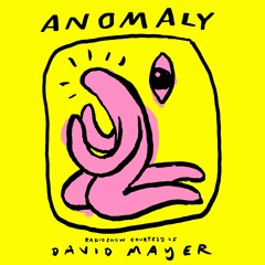 Anomaly Radio Show Courtesy Of David Mayer 01.05.2020
