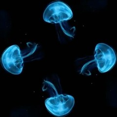 Dark Souls OST - Majula Theme