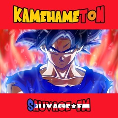 KameHameTon