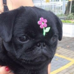 *~chill wit me~*