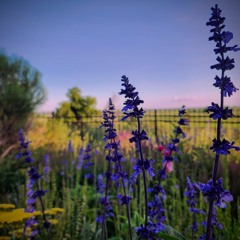 Loops - Done With Em All (Freestyle)