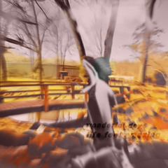 WDLFA (ruger x essence)