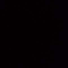 Bdlp-am fost vagabond