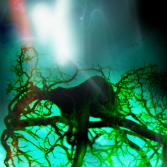 Noxik-B_Day Bash_setcut 29.3.25