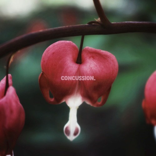 concussion (Prod. Acey x Caleb Daniels)
