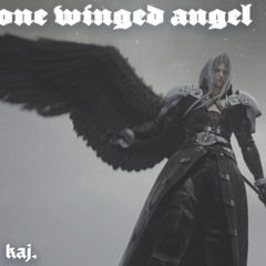 one winged angel