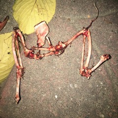 Maxwell - Pretty Wings (Cover)