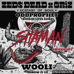 Ecstasy Of Soul Mashup - GRIZ X Zeds Dead X Oddprophet X Wooli (SHAMAN Mashup FREE DL)