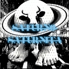 LA VACA SATURNO SATURNITA FUNK