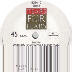 Tears For Fears - When In Love With A Blind Man (Noise DnB Edit)