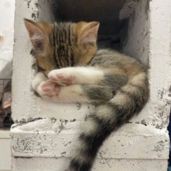 the inner demon - ft. Sick Kennedy (wixxy)