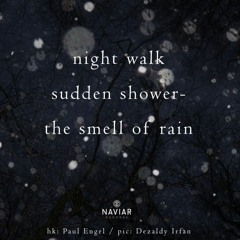 Sudden Shower [NaviarHaiku452]