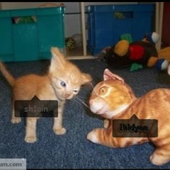 shlain - criminals ft. dye (prod. shishy)