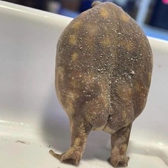 𝓱𝓸𝓻𝓷𝔂