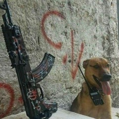 TU SABE QUE A FAVELA E COMANDO VERMELHO DESTRAVA MEU AK(C.V)