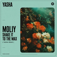MOLIY - Shake it to the max (YASHA Remix)