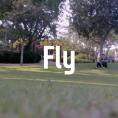 Fly(애쉬 아일랜드 x 스키니 브라운 x 제이씨 유카 타입 밝은 느낌의 감성 락 힙합 비트) - BPM 100